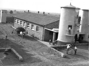 fondo gori2 1956